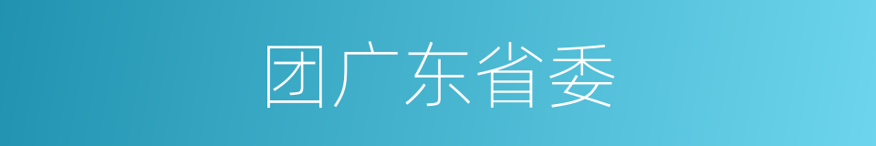 团广东省委的同义词