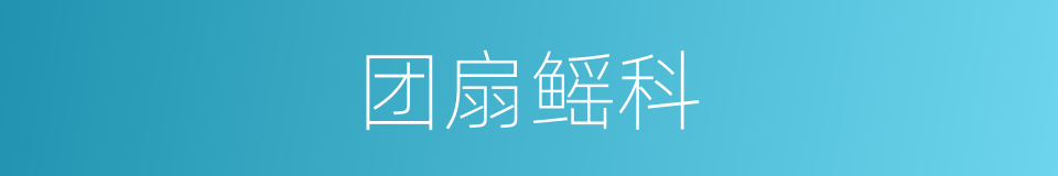 团扇鳐科的同义词