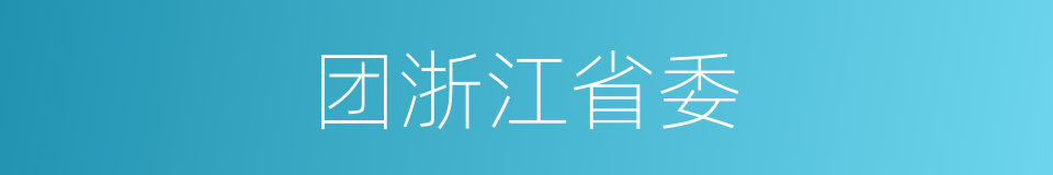 团浙江省委的同义词