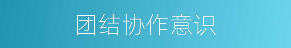 团结协作意识的同义词