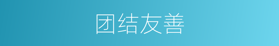 团结友善的同义词