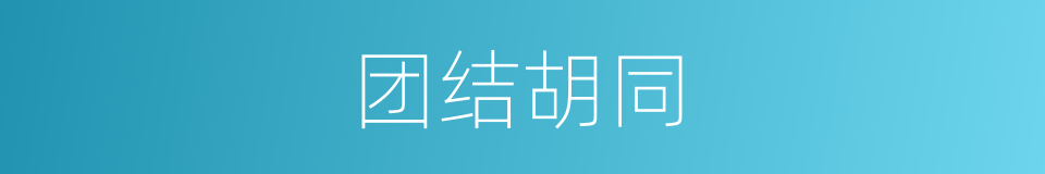 团结胡同的同义词