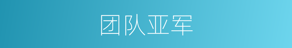 团队亚军的同义词