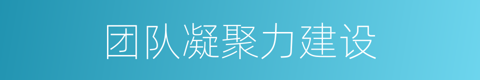 团队凝聚力建设的同义词