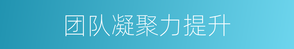 团队凝聚力提升的同义词