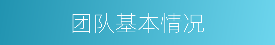 团队基本情况的同义词