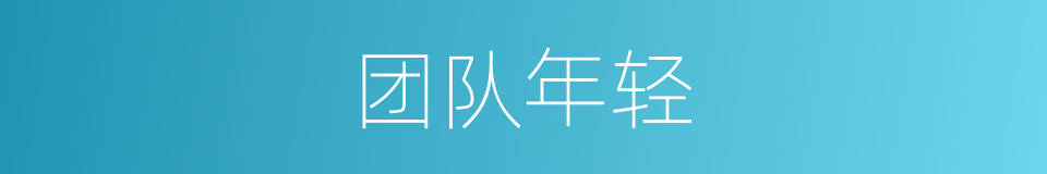 团队年轻的同义词