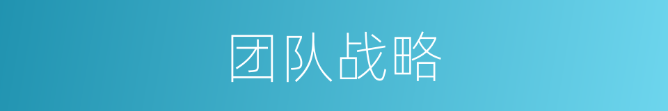 团队战略的同义词