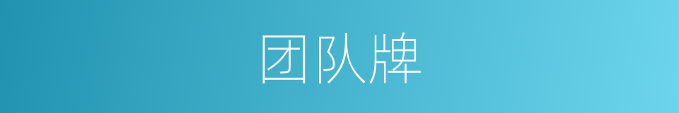 团队牌的同义词