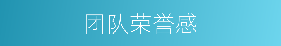 团队荣誉感的同义词