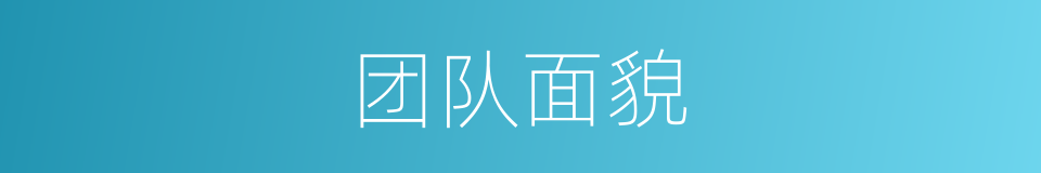 团队面貌的同义词
