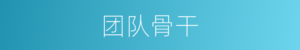 团队骨干的同义词