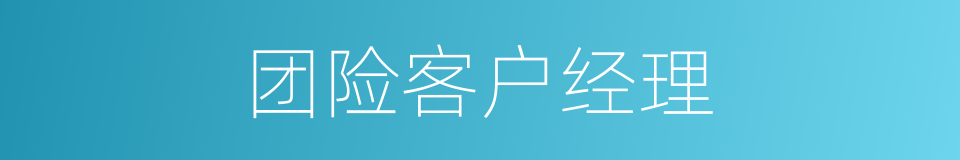 团险客户经理的同义词