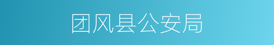 团风县公安局的同义词