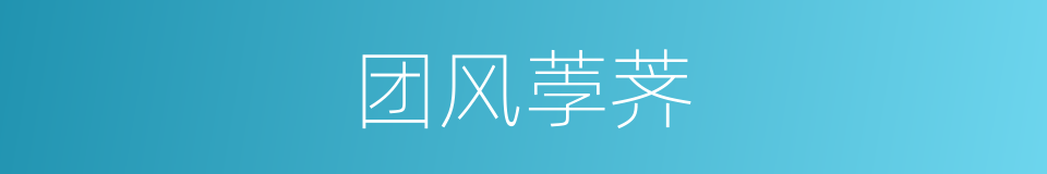 团风荸荠的同义词