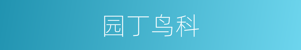 园丁鸟科的同义词