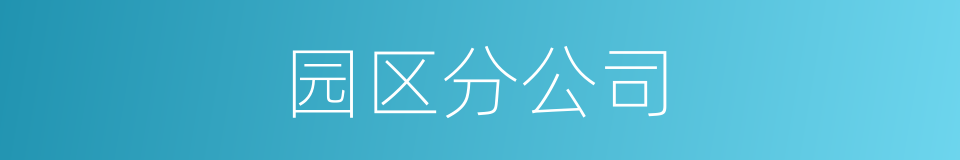 园区分公司的同义词