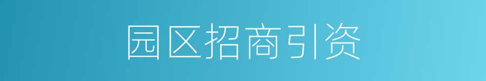 园区招商引资的同义词