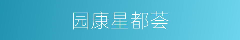 园康星都荟的同义词