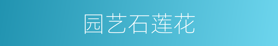 园艺石莲花的同义词