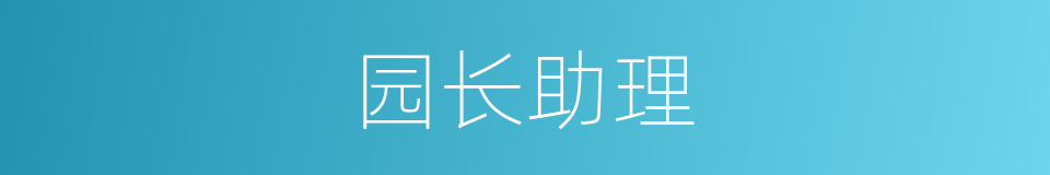 园长助理的同义词