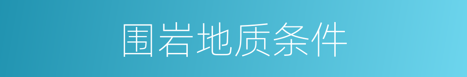 围岩地质条件的同义词