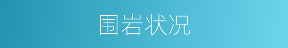 围岩状况的同义词