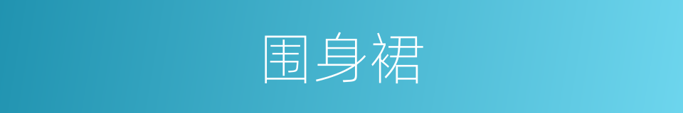围身裙的同义词