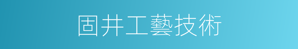 固井工藝技術的同義詞