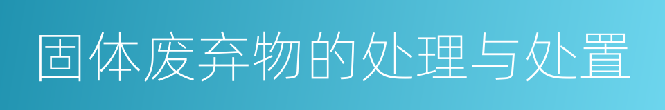 固体废弃物的处理与处置的同义词