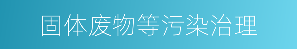 固体废物等污染治理的同义词