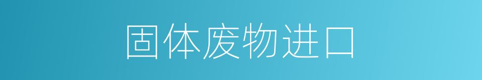固体废物进口的同义词