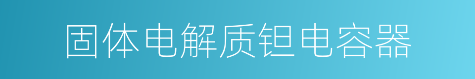 固体电解质钽电容器的同义词