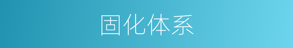 固化体系的同义词