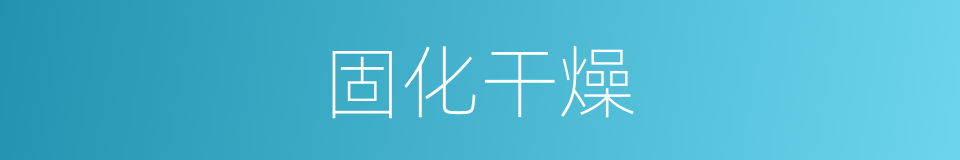 固化干燥的同义词