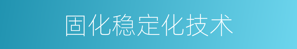 固化稳定化技术的同义词