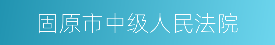 固原市中级人民法院的同义词