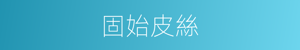固始皮絲的同義詞