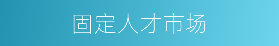 固定人才市场的同义词