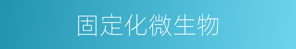 固定化微生物的同义词