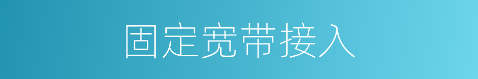 固定宽带接入的同义词