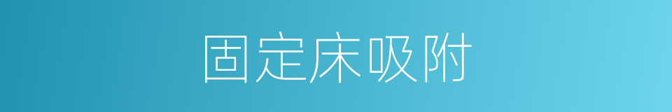 固定床吸附的同义词