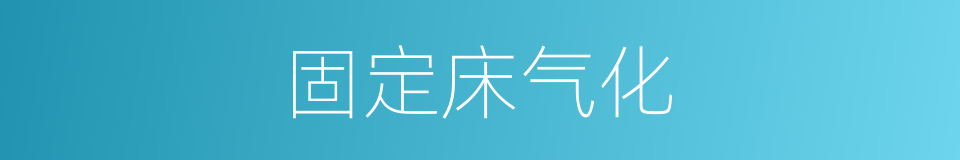 固定床气化的同义词