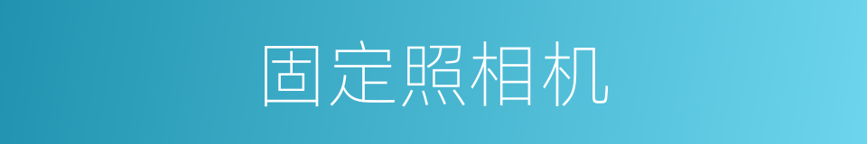 固定照相机的同义词