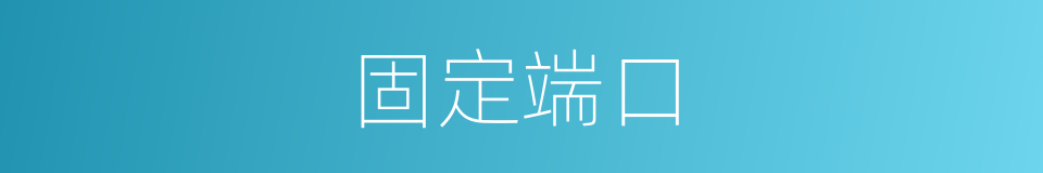 固定端口的同义词