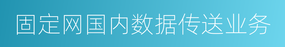 固定网国内数据传送业务的同义词