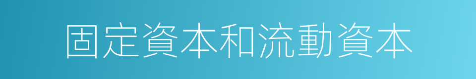 固定資本和流動資本的同義詞