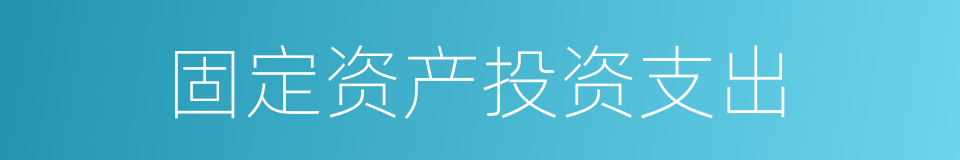 固定资产投资支出的同义词