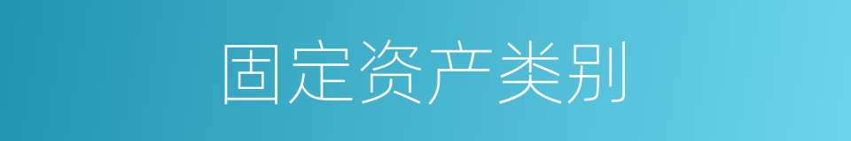 固定资产类别的同义词