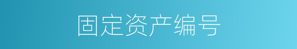 固定资产编号的同义词